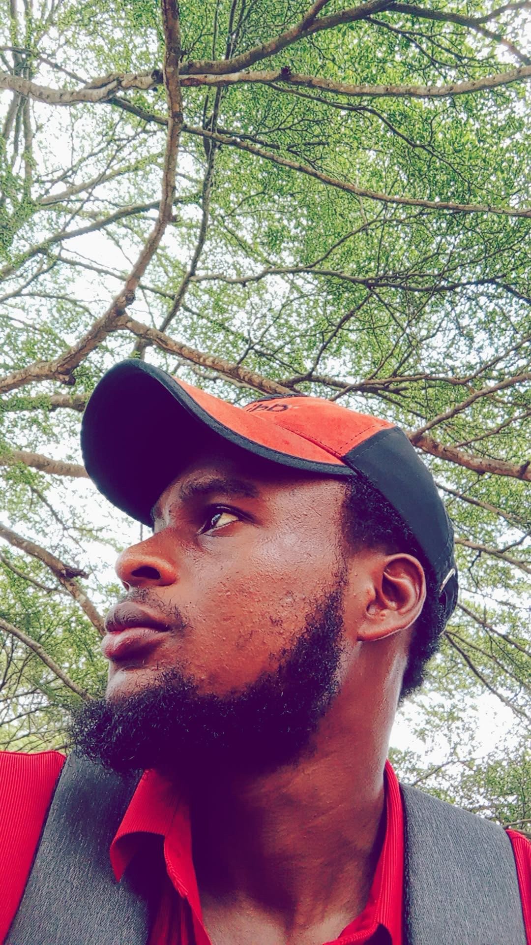 Softprosper